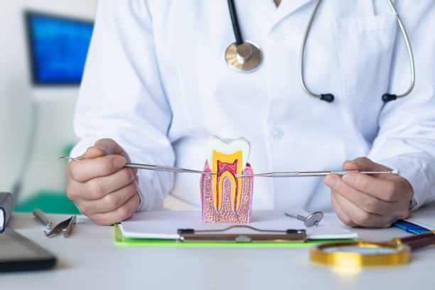 Best Broken or Cracked Tooth Emergency Dentist in Mineville, NY